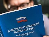 Защита при банкротстве