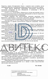 Банкротство физического лица. Полное списание долга по кредитам Сбербанк, ВТБ, МКБ в размере 1 428 769 рублей решение № 2